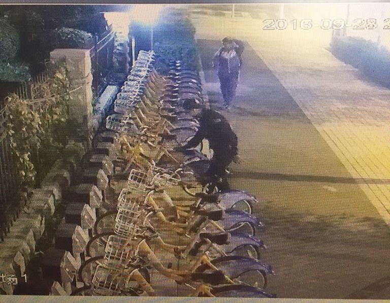 zoty中欧体育·(中国集团)官方网站