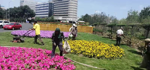 zoty中欧体育·(中国集团)官方网站