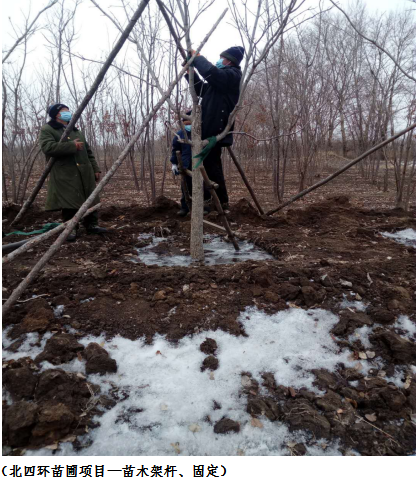 zoty中欧体育·(中国集团)官方网站