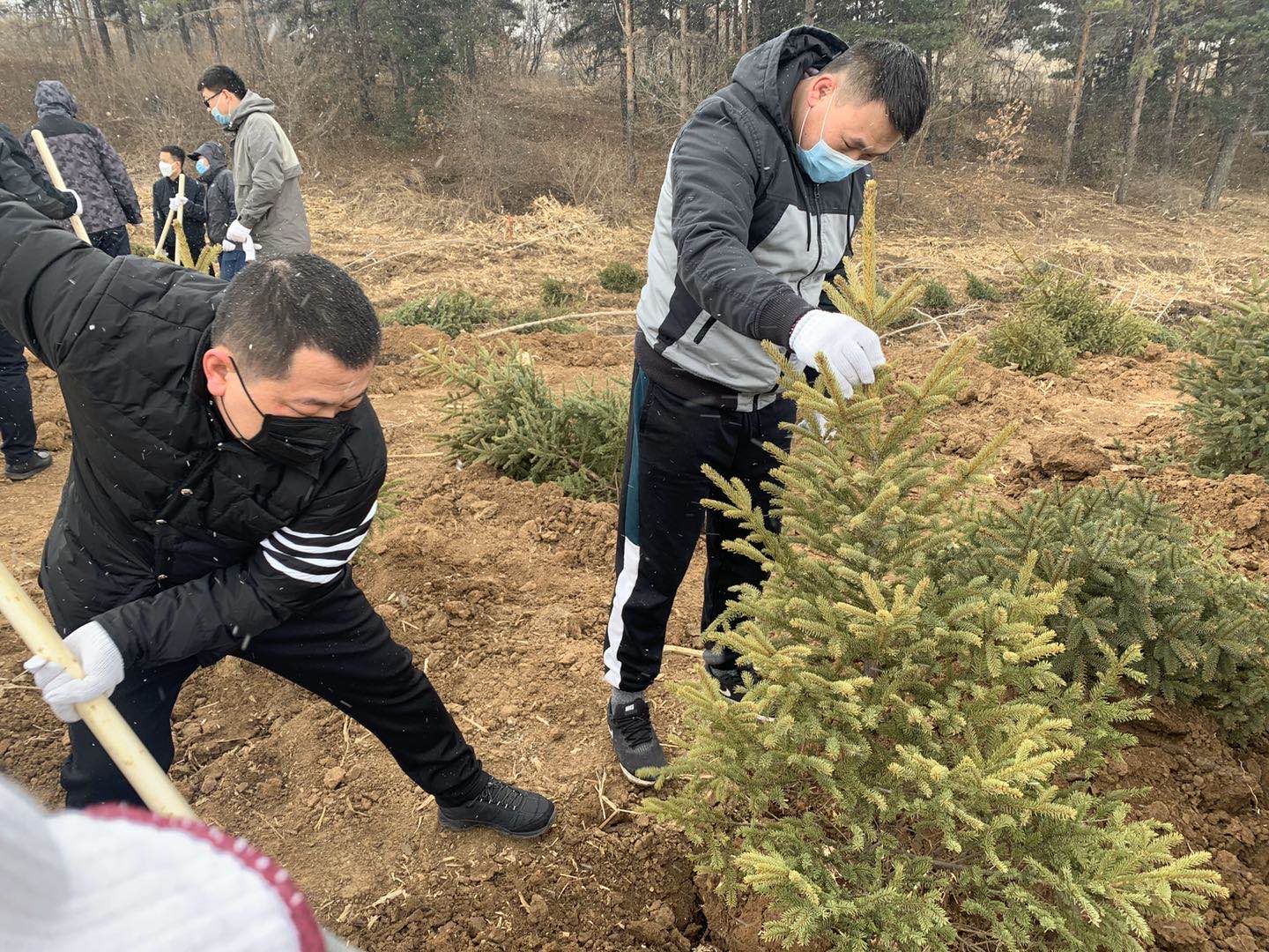 zoty中欧体育·(中国集团)官方网站