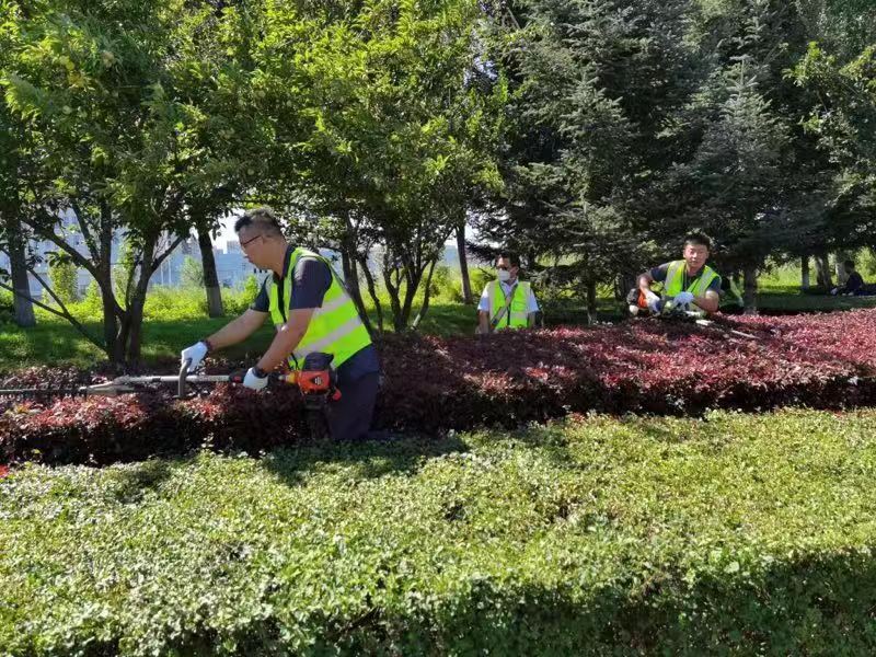 zoty中欧体育·(中国集团)官方网站