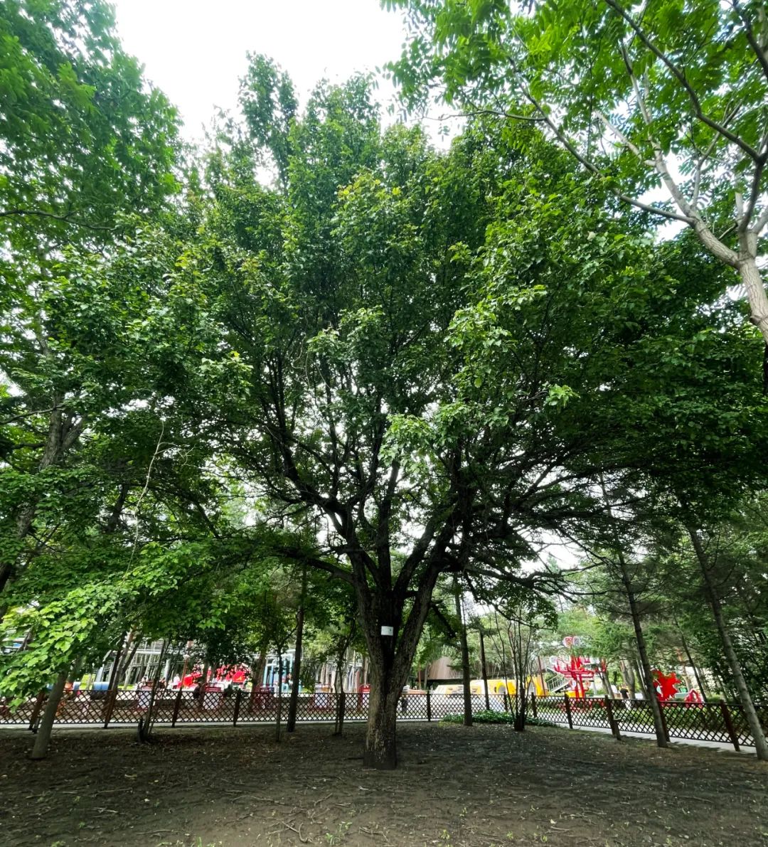 zoty中欧体育·(中国集团)官方网站