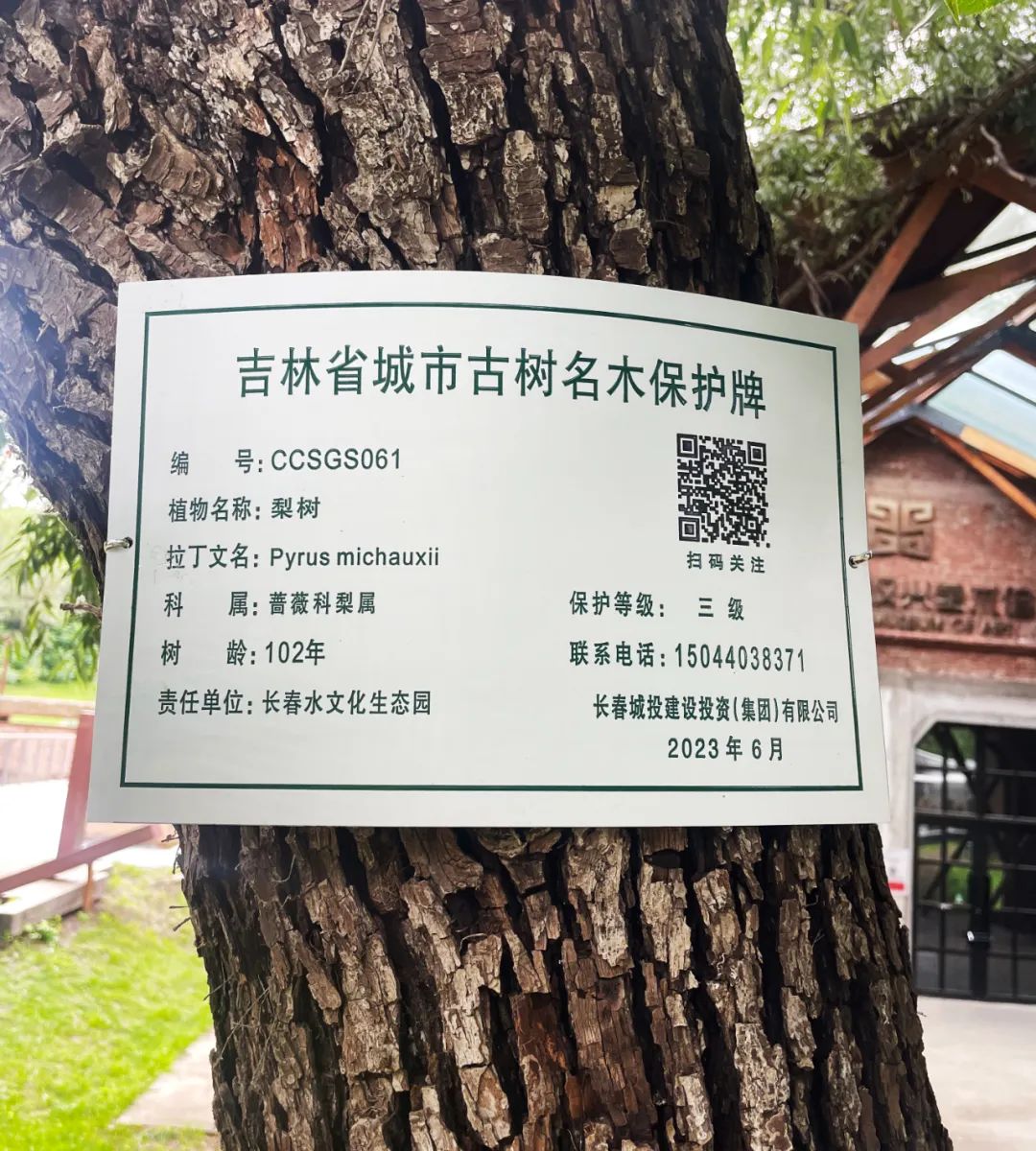 zoty中欧体育·(中国集团)官方网站