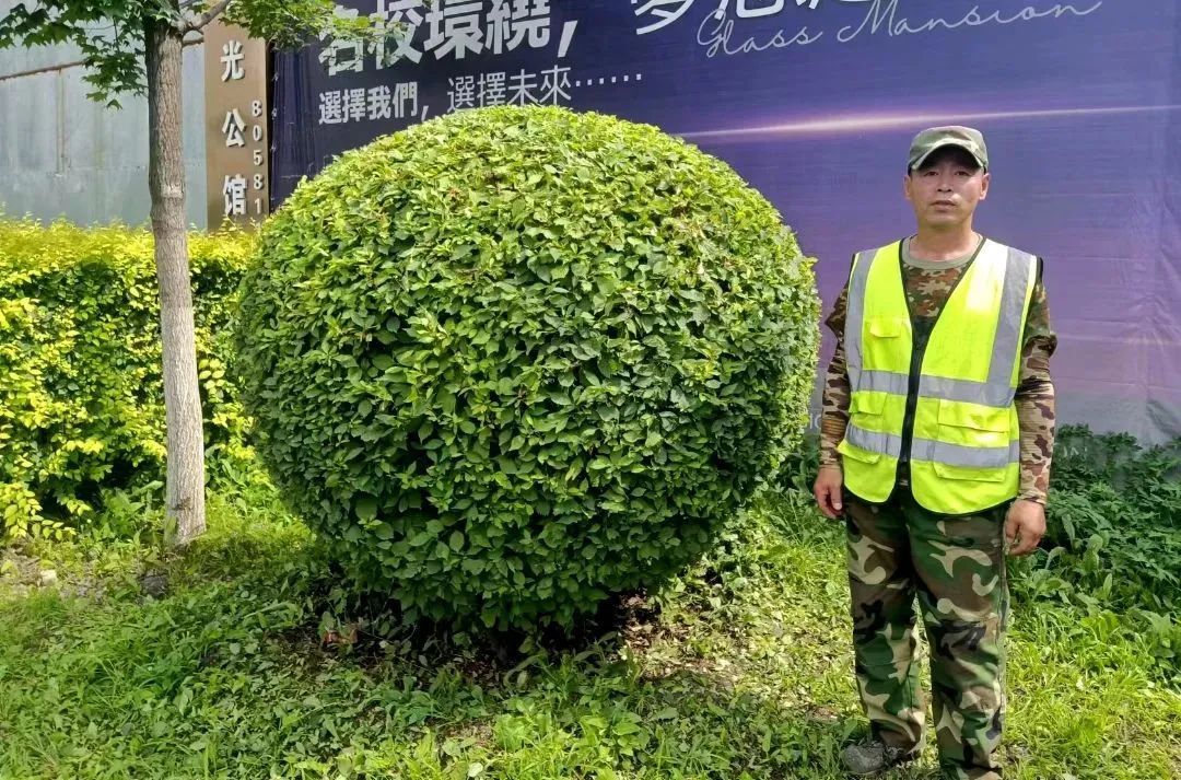 zoty中欧体育·(中国集团)官方网站