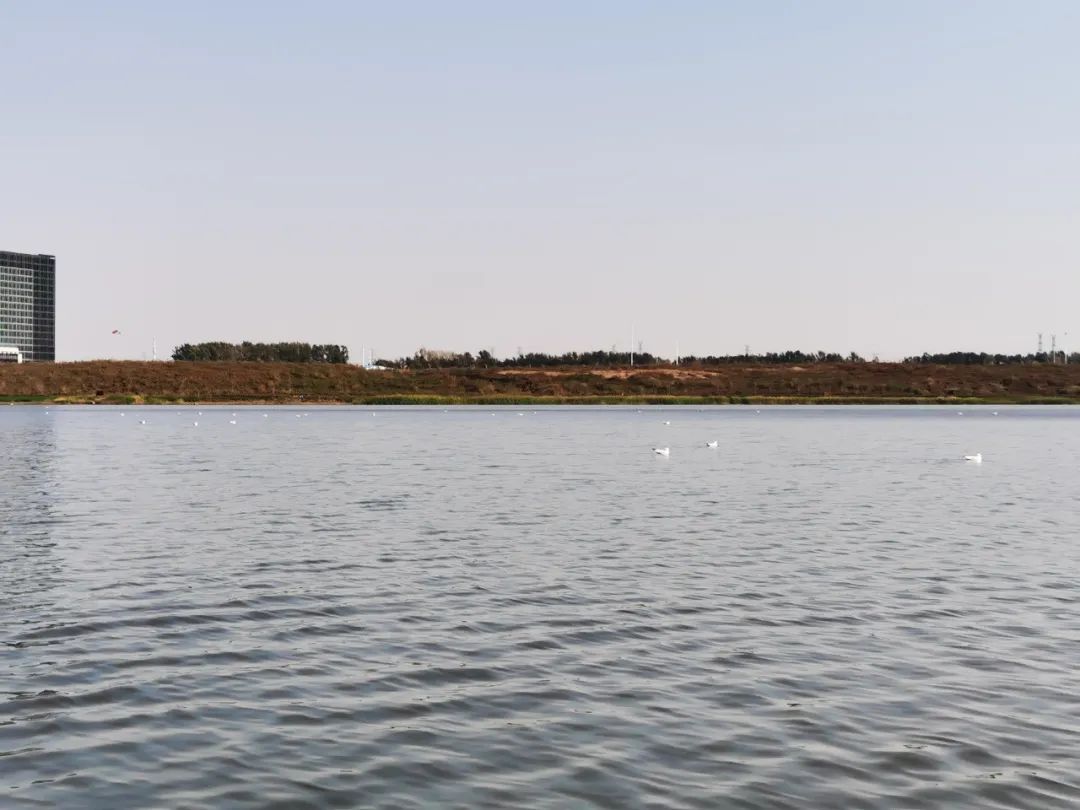 zoty中欧体育·(中国集团)官方网站